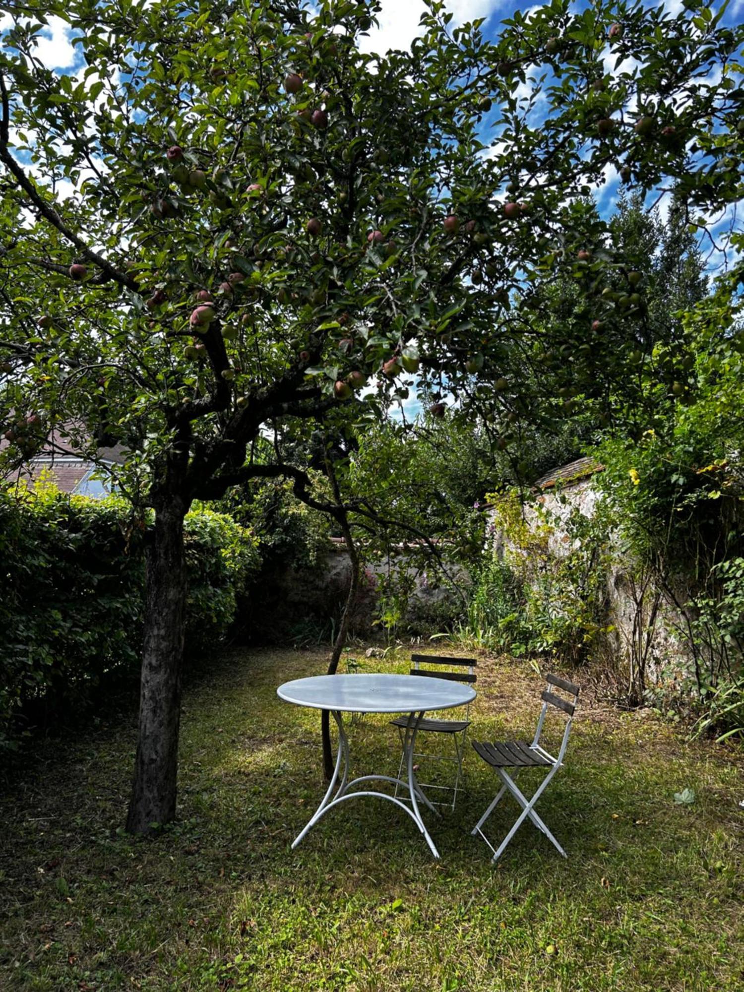 La Maison Des Graviers Nogent-sur-Seine Dış mekan fotoğraf